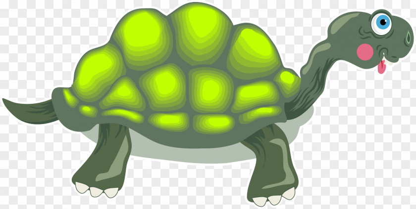 Turtle The Tortoise And Hare Clip Art PNG