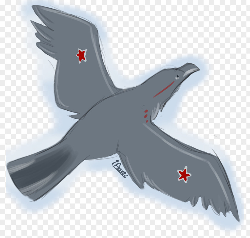 Yak Bird Beak Animal PNG