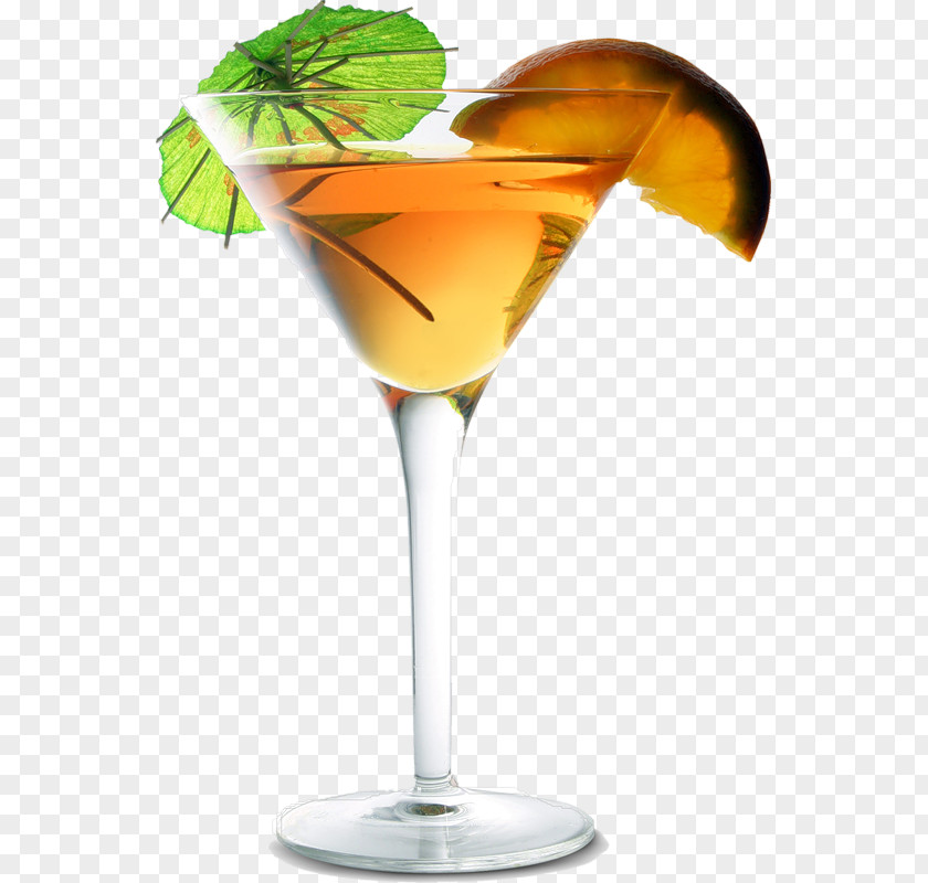 Cocktail Martini Glass Garnish PNG