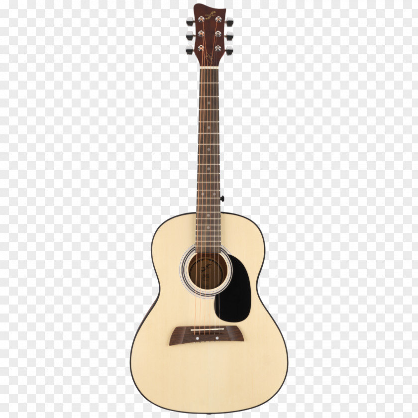 Acoustic Guitar Twelve-string Steel-string Acoustic-electric PNG