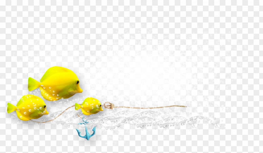 Beautiful Yellow Fish Image Sharing Photography DenizBank Wallpaper PNG