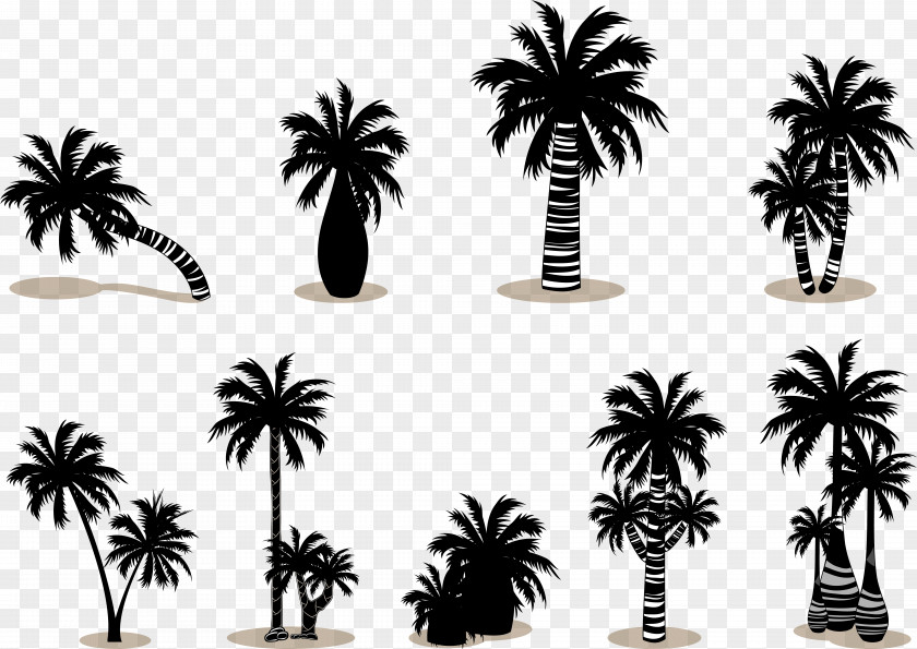 Coconut Palm Tree Silhouette Vector Arecaceae PNG