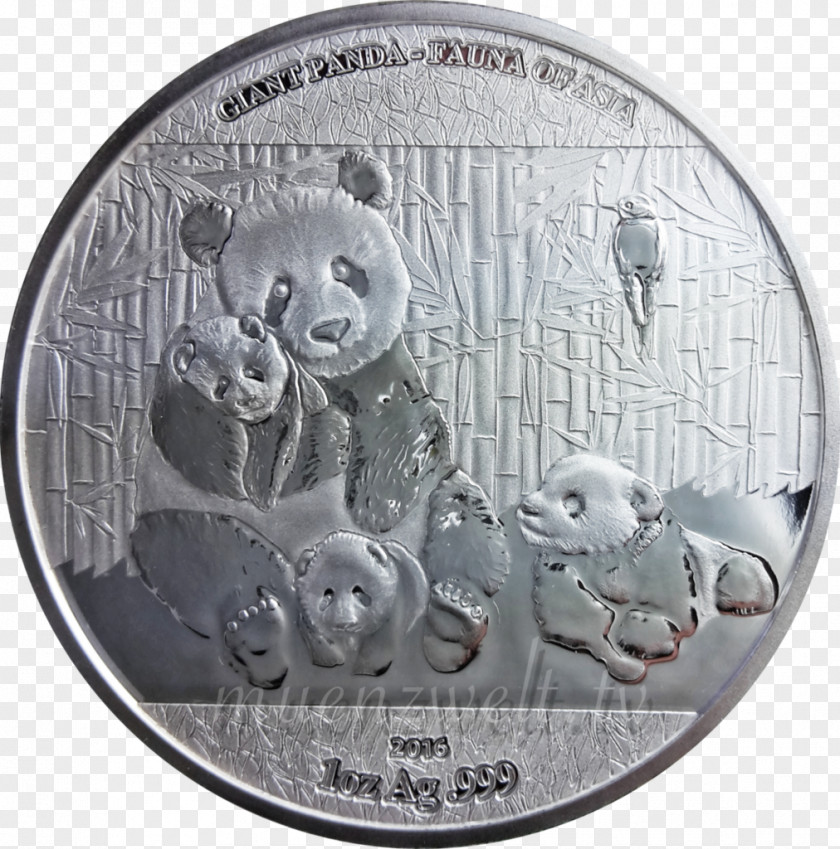 Giant Panda Money Coin Silver Currency PNG