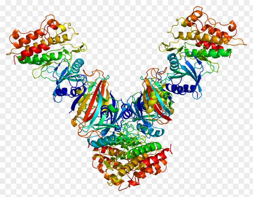 Protein Transforming Growth Factor Beta TGF Receptor 1 PNG