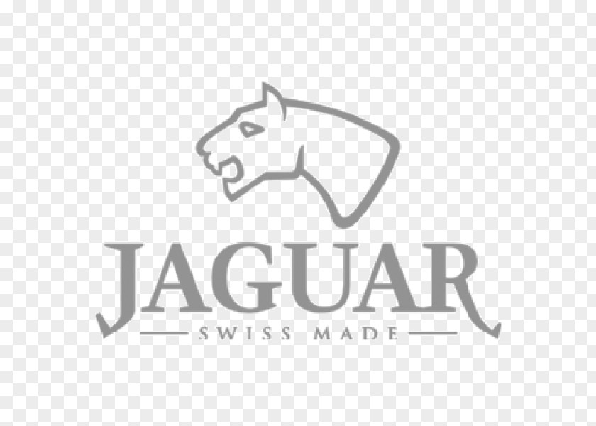 Watch Jaguar Cars Festina Swiss Made Chronograph PNG