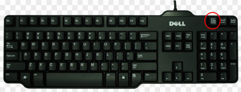 Keyboard Computer Dell Laptop Mouse USB PNG