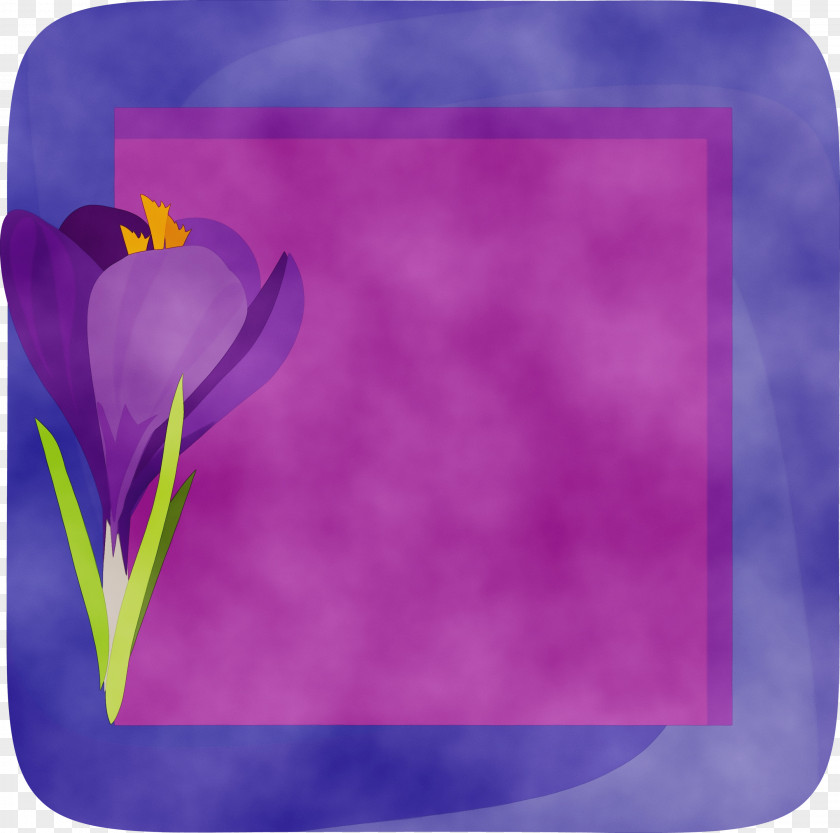 Lavender PNG