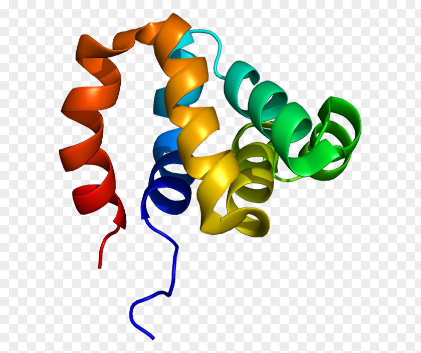 NOD1 Mutation Wikipedia NOD2 Protein PNG