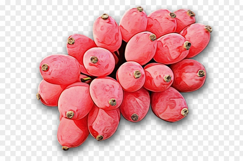 Perennial Plant Food Pink Flower Fruit PNG