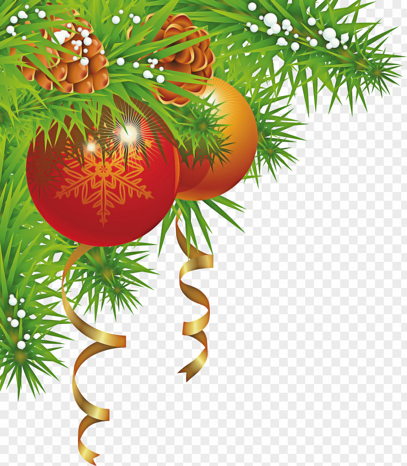 Christmas Ornament, Plants Background PNG