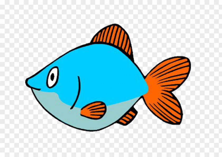 Swimming Fish Animal Cartoon PNG