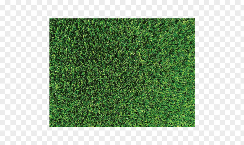 Artificial Turf Lawn Mowers Carpet Groundcover PNG