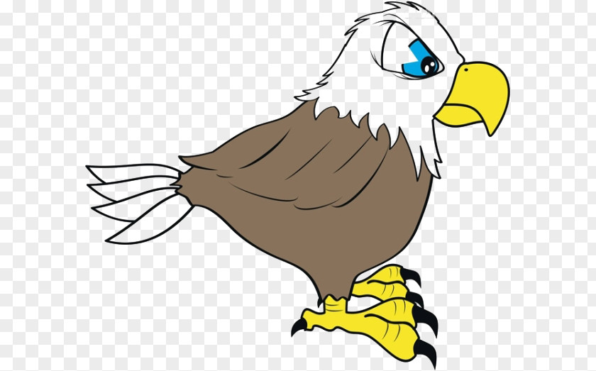 Cartoon Eagle Material Bald Drawing PNG
