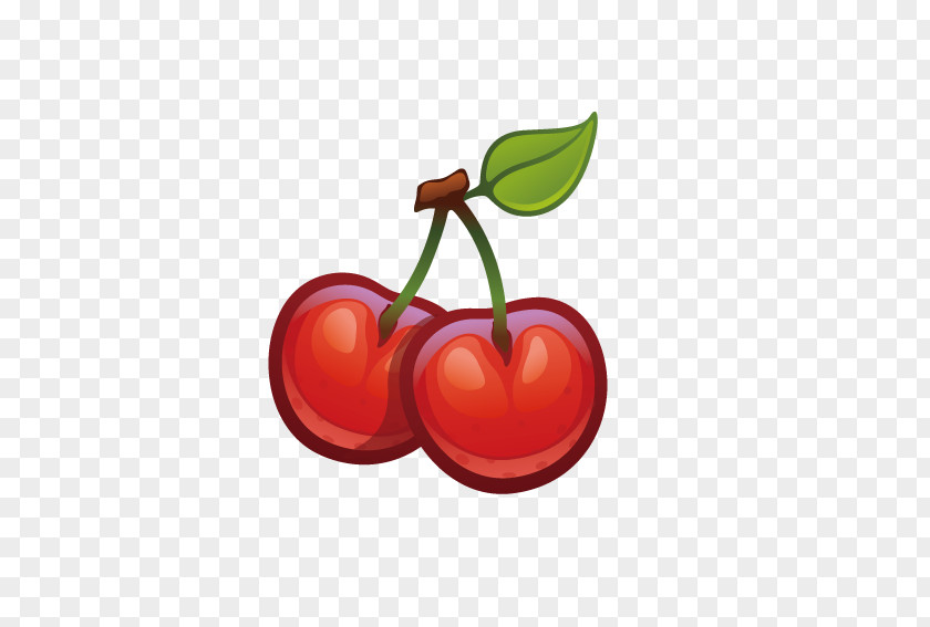 Delicious Cherry Cerasus Icon PNG