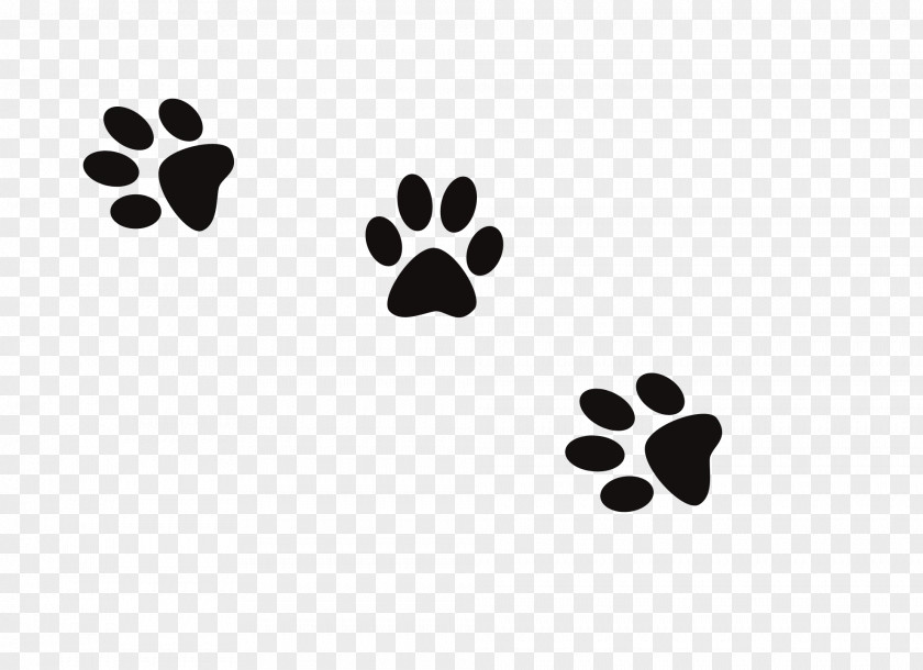 Dog Prints Cat Paw Footprint Clip Art PNG