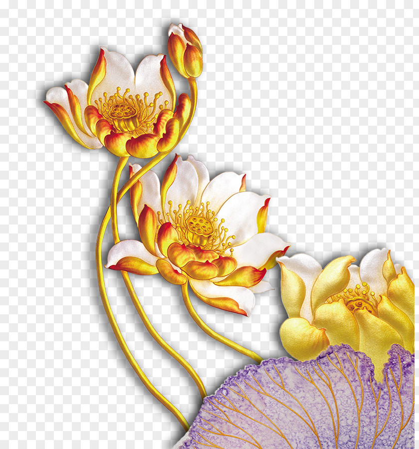 Golden Lotus Gold Wallpaper PNG