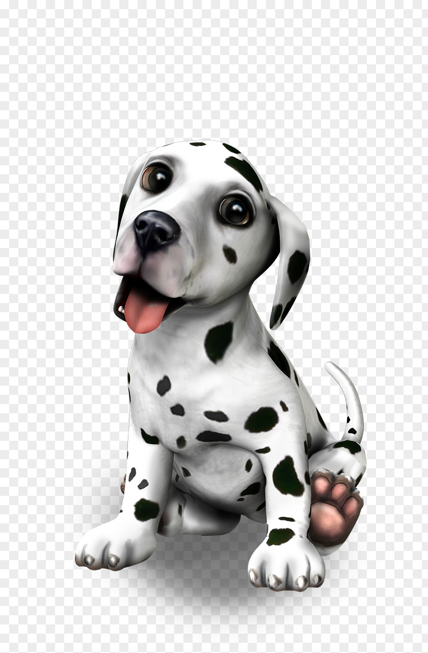 Puppy Dalmatian Dog Breed Companion Pet Sitting PNG