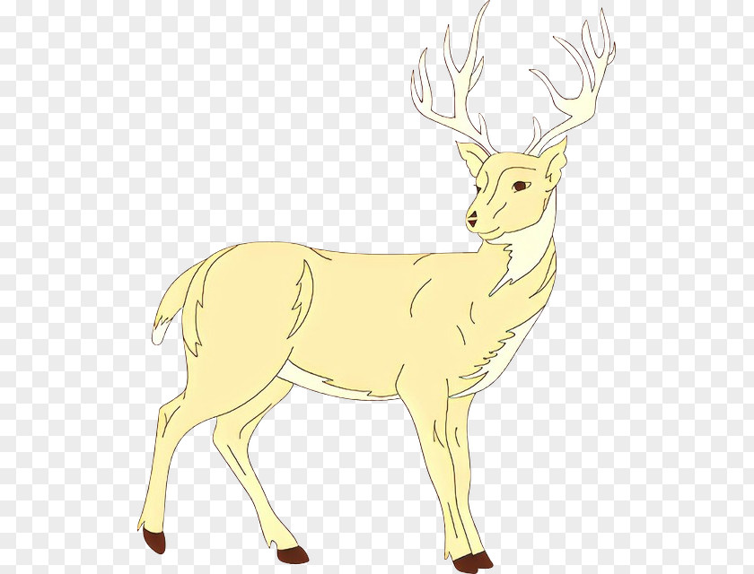 Tail Horn Reindeer PNG