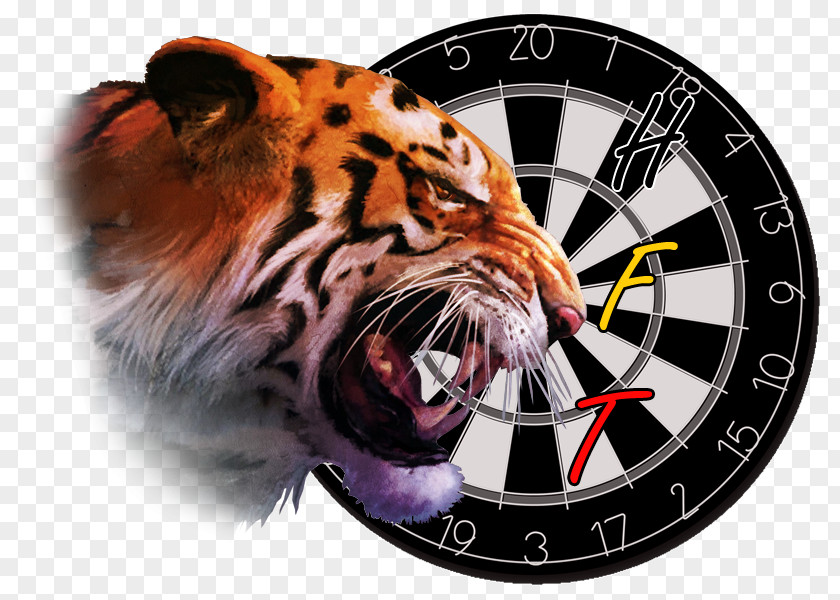 Watercolor Tiger PDC World Darts Championship Federation Shot Bullseye PNG