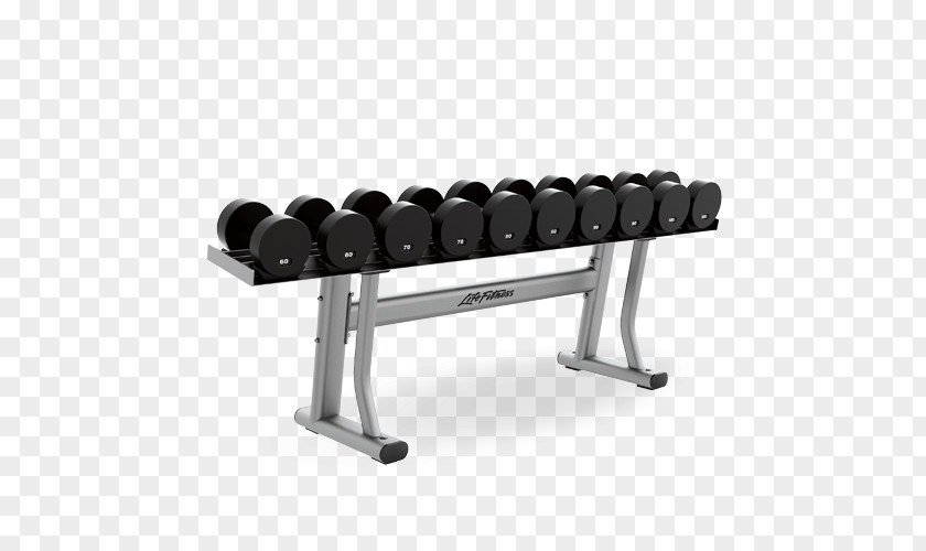 Weight Rack Dumbbell Bench Life Fitness Barbell Centre PNG