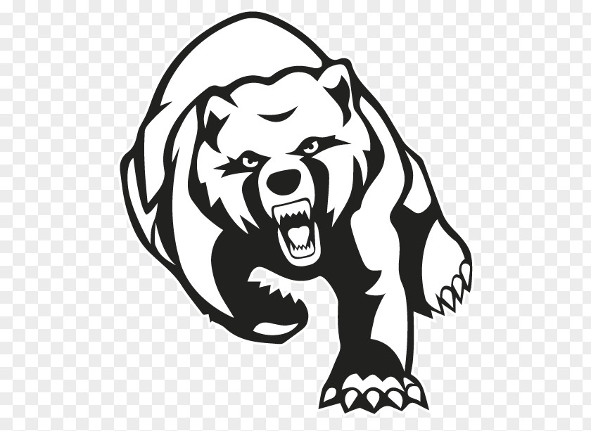 Bear Kodiak American Black Grizzly Clip Art PNG