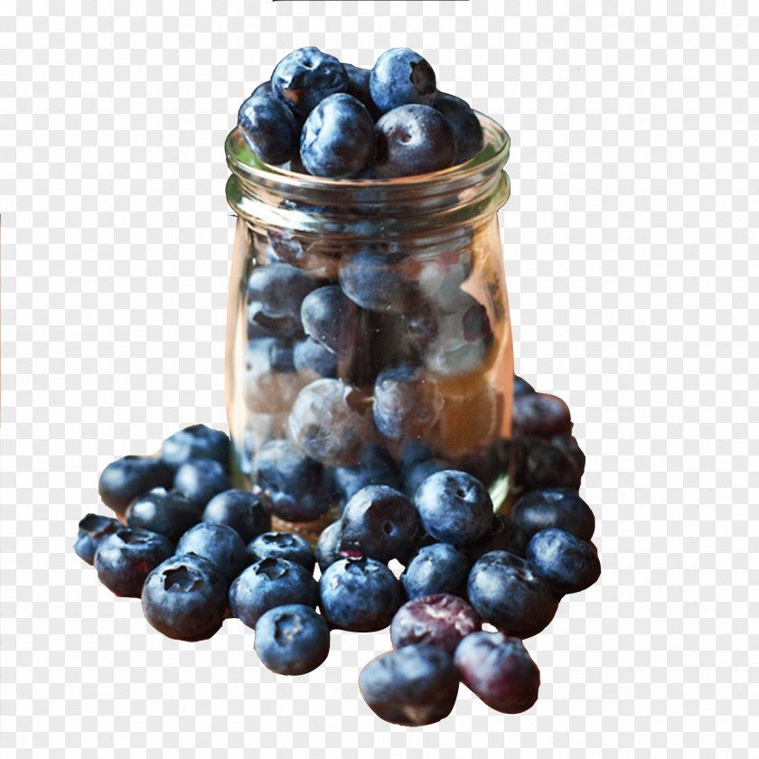 Blueberry Purple Bilberry PNG