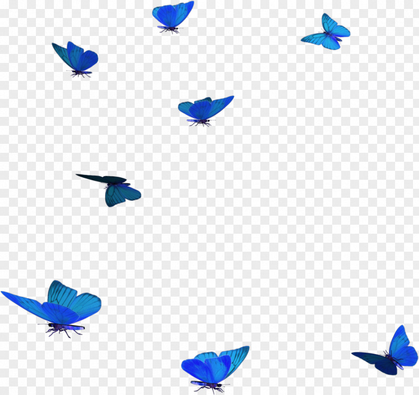 Butterfly Blue Butterflies & Insects Clip Art PNG