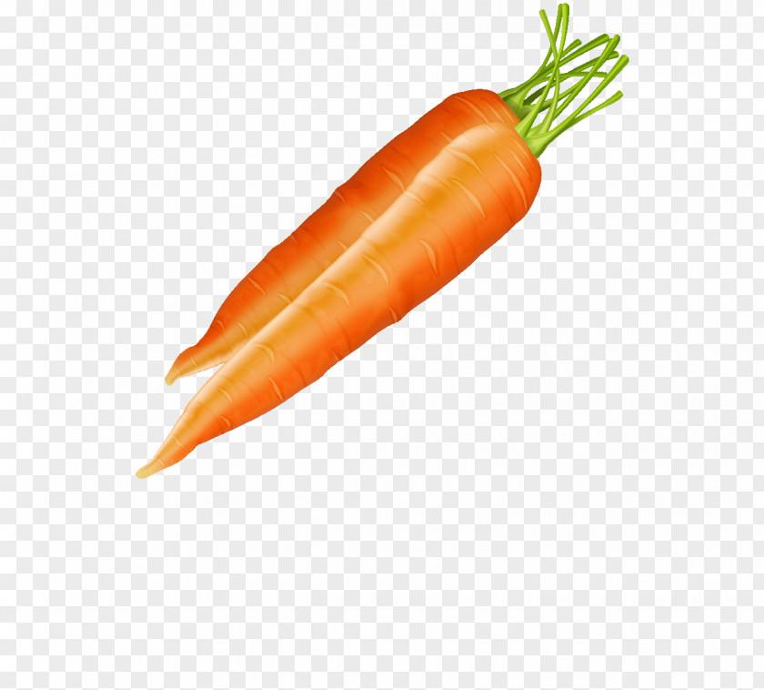 Cartoon Carrot Baby Vegetable Clip Art PNG