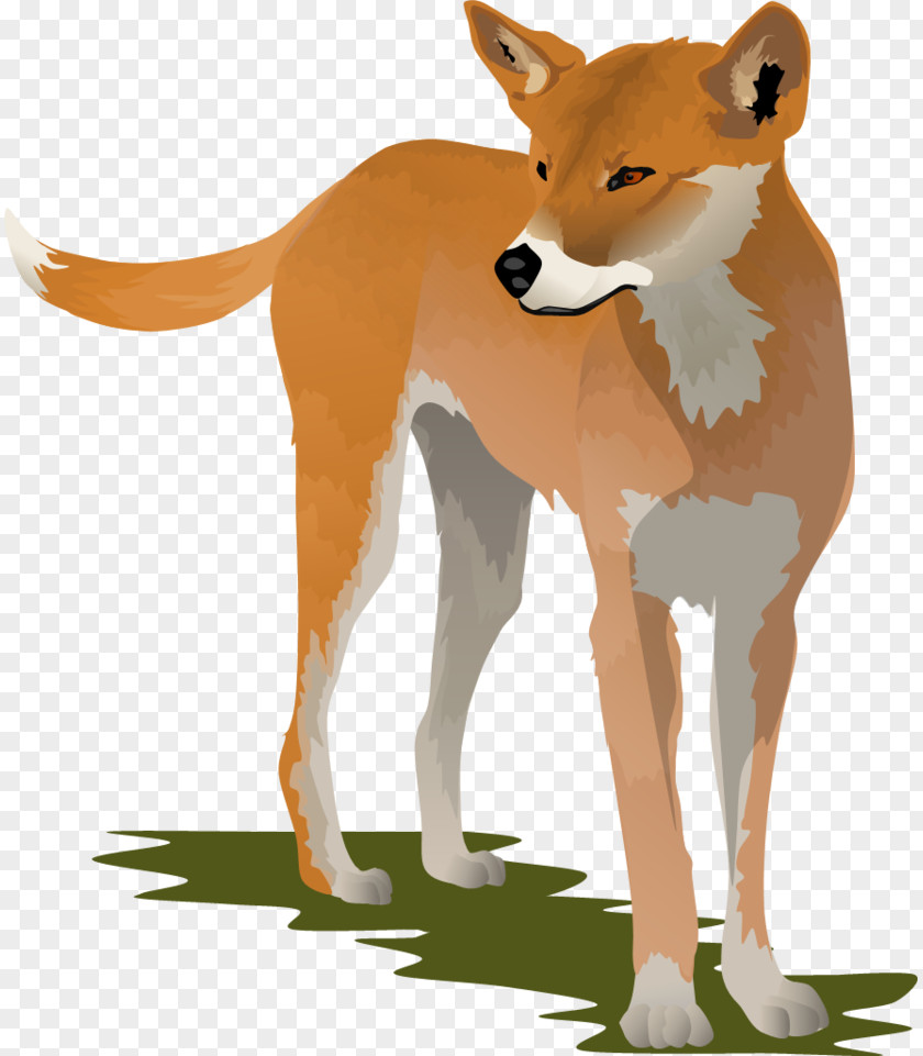 Dingo Cliparts Dog Clip Art PNG