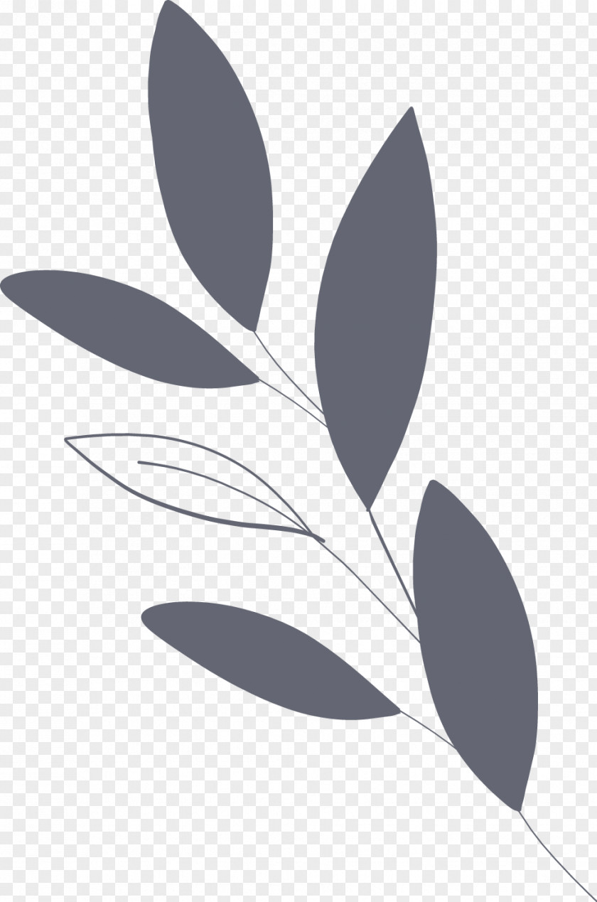 Endless Love Petal Leaf Pattern PNG