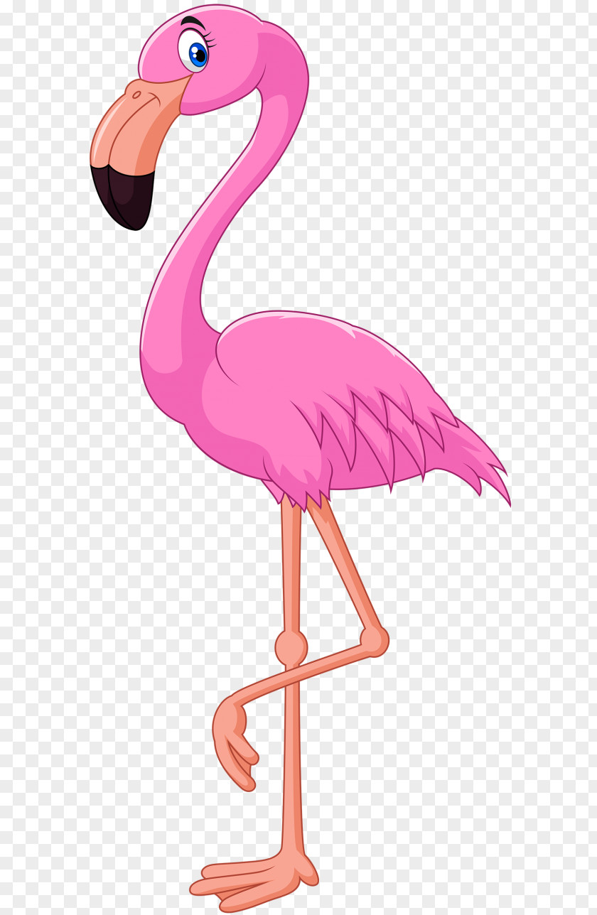 Flamingo Download Vector Graphics Stock Photography Illustration PNG