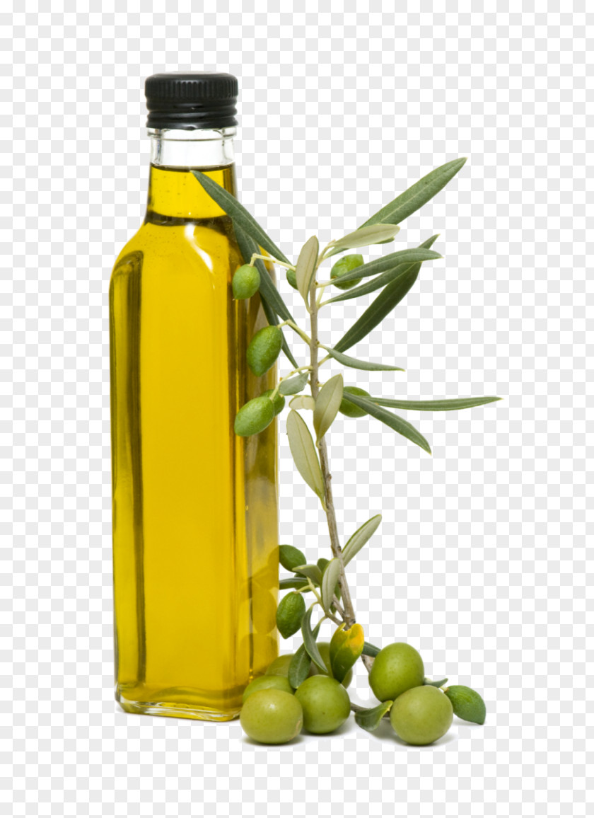 Olive Oil Squid As Food Italian Cuisine PNG