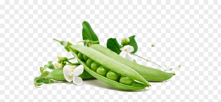 Peas Snow Pea Vegetable Carrot Food Wallpaper PNG