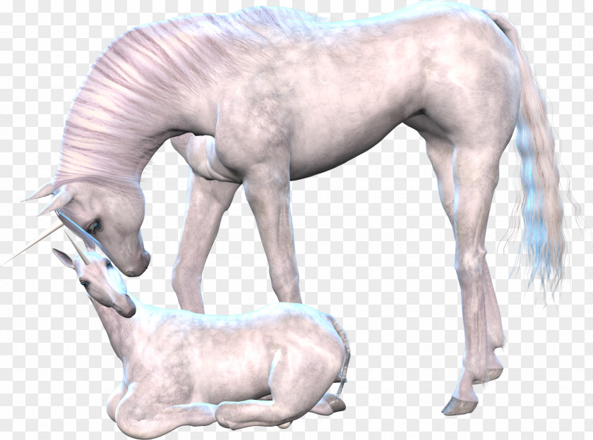 Pegasus Unicorn Horse Clip Art PNG