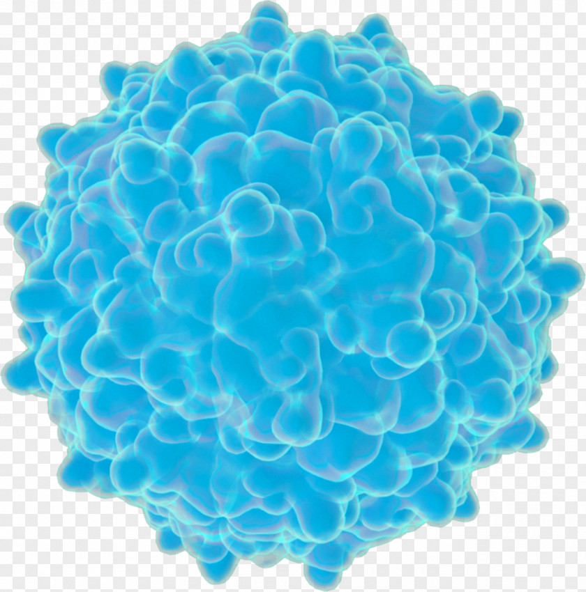 Rhinovirus Zika Virus Fever Computer PNG