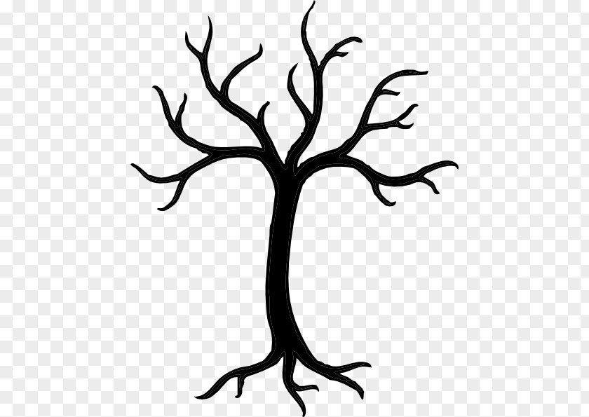 Trunk Blackandwhite Tree Drawing PNG
