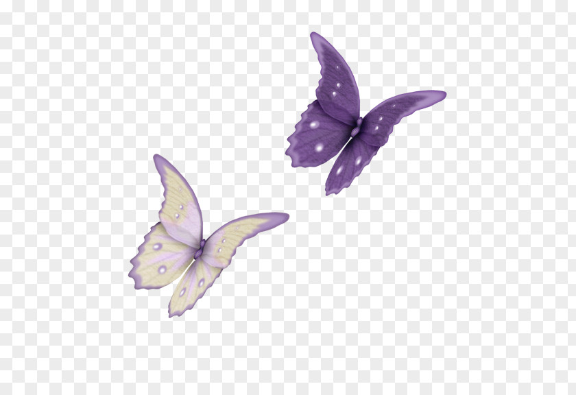 Butterfly Clip Art PNG