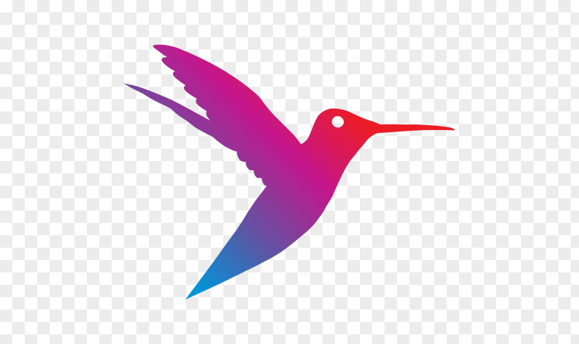 Jumping Hummingbird Microphone Sennheiser Desktop Wallpaper Animal PNG