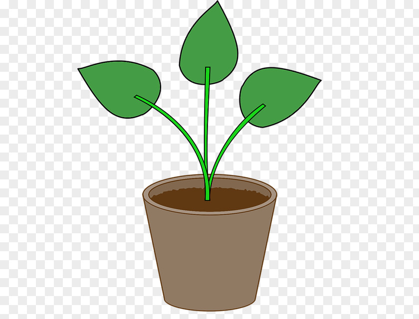 Leaf Flowerpot Clip Art Image PNG