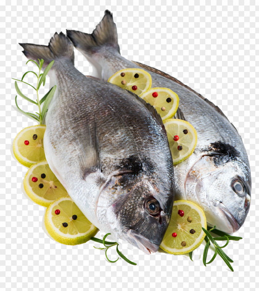 Lemon Slices And Fish Gilt-head Bream Porgies Ingredient PNG