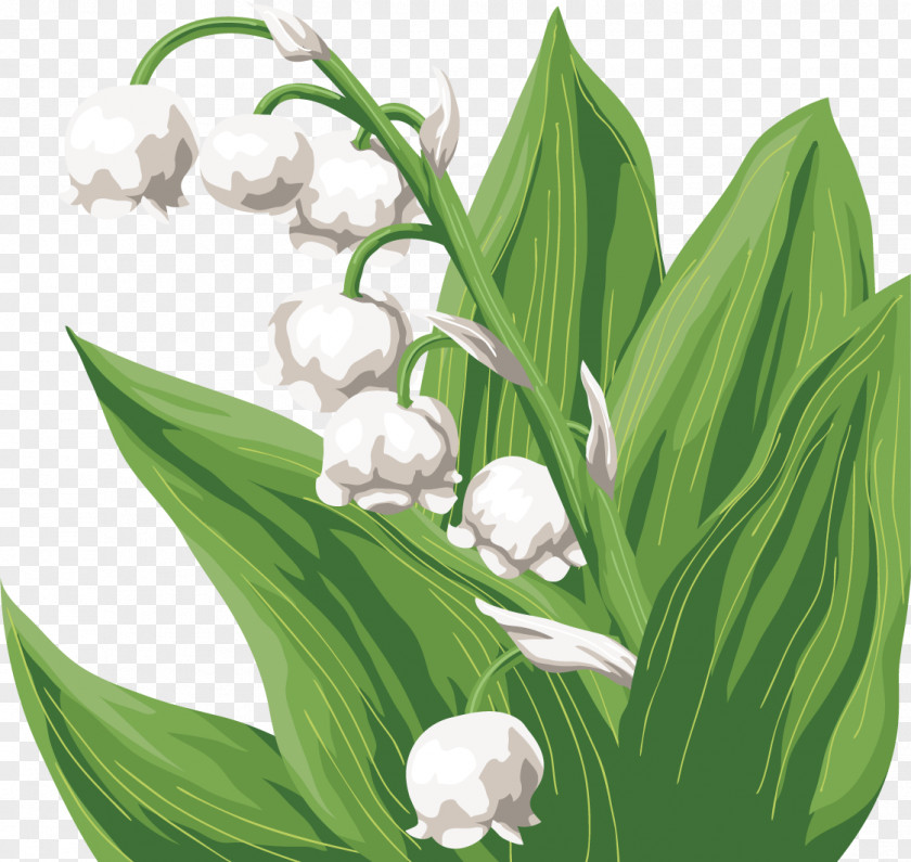 Lily Of The Valley Flower Bouquet Birthday Garden Roses Landishi PNG