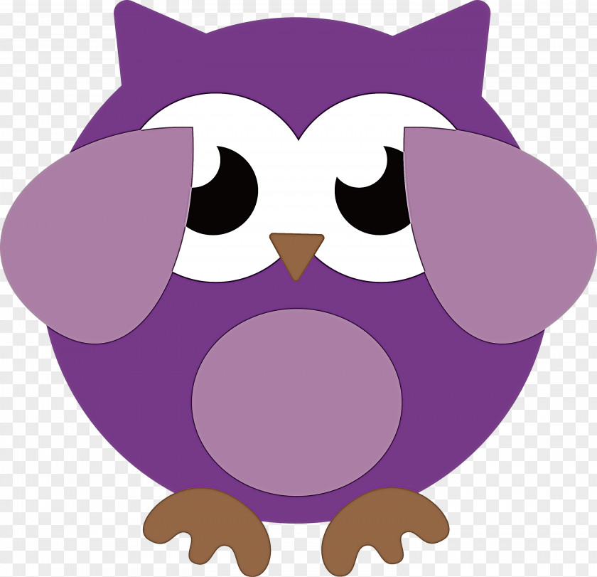 Owls Birds Beak Cartoon Bird Of Prey PNG
