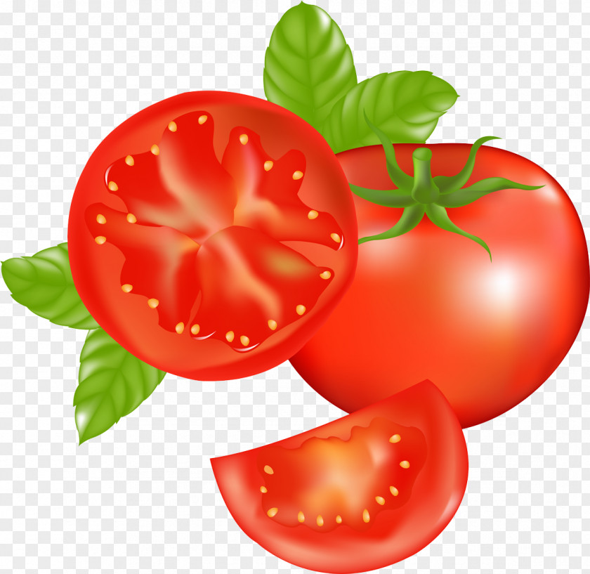 Vector Tomato Soup Vegetable PNG