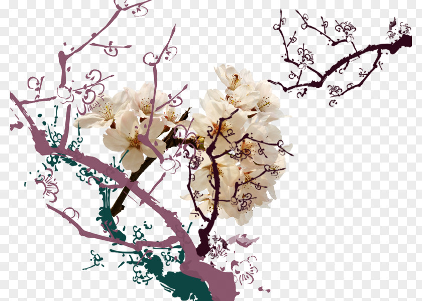White Apricot Open Branches Petal PNG