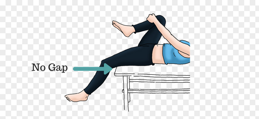 Best Stretching Exercises Pelvic Tilt Pelvis Hip Spinal Disc Herniation PNG