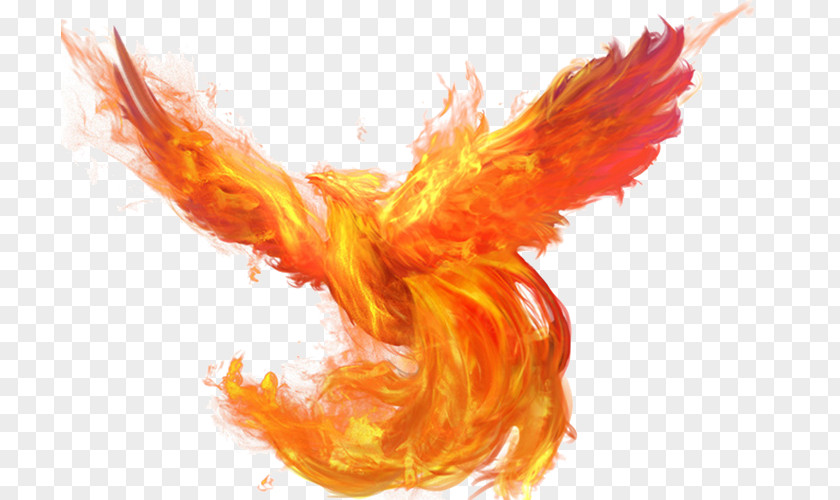Brilliant Phoenix U5927u5929u4f7fu4e4bu5251 Flame Fire Download PNG
