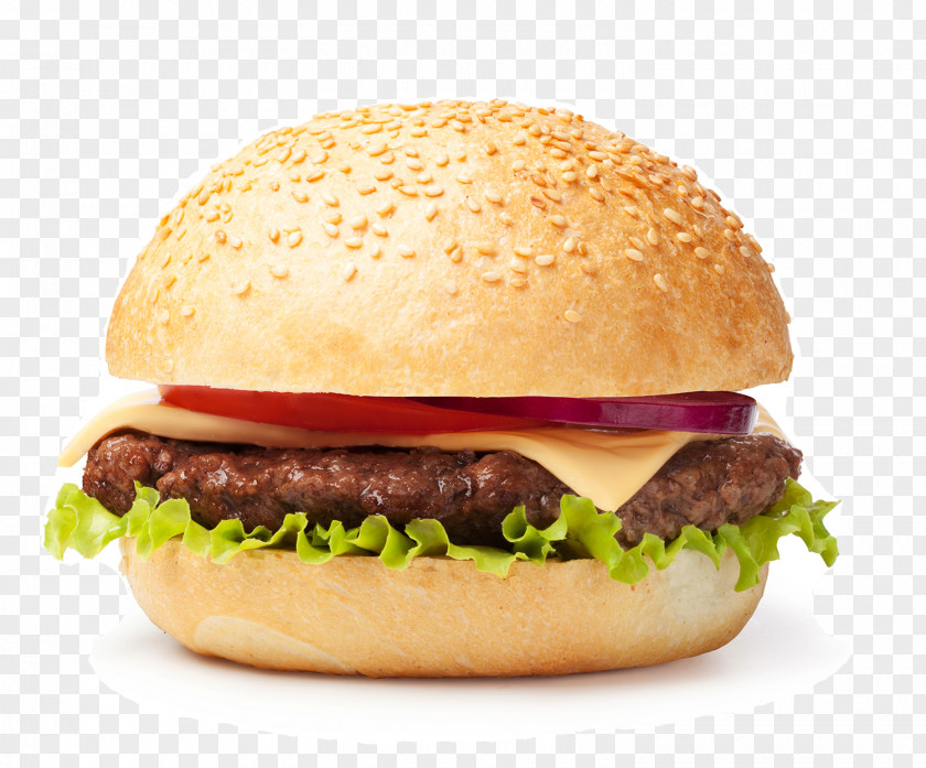 Burger Hamburger Cheeseburger French Fries Barbecue Grill Pizza PNG