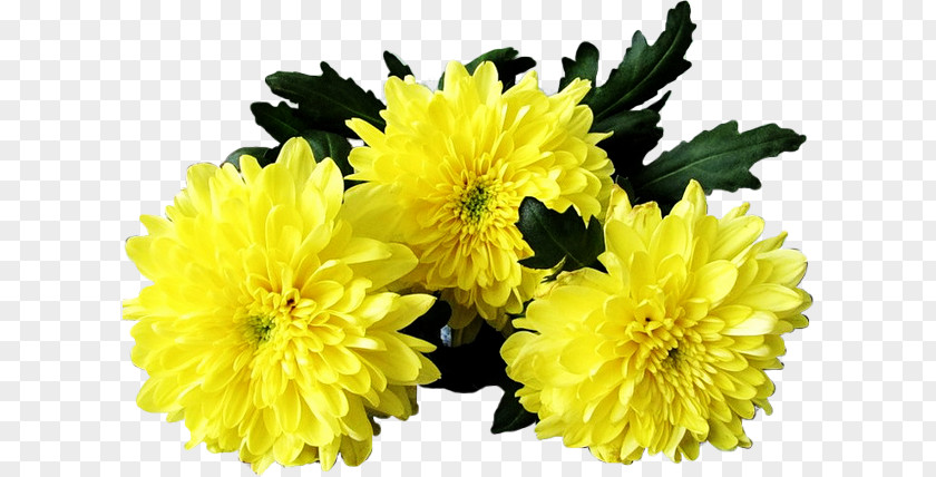 Flower Chrysanthemum GIF Clip Art PNG