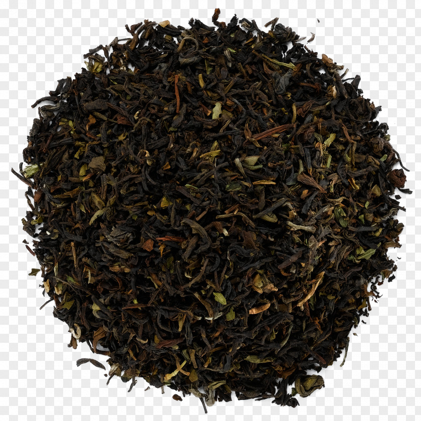 Green Tea Dianhong Oolong Nilgiri PNG