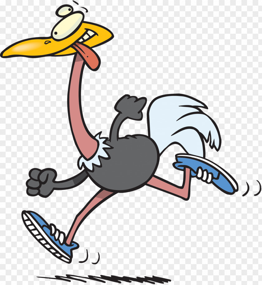 Ostrich Common Bird Running Clip Art PNG